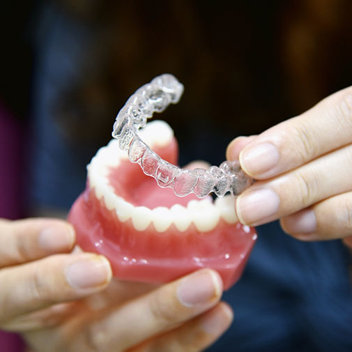 Dentist placing an Invisalign aligner over a model of a row of teeth